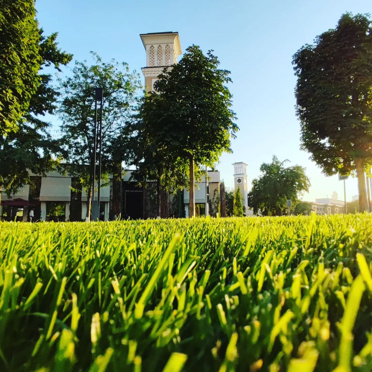 Лето в разгаре! Сегодня аномальная жара! Как защитить автомобиль от воздействия солнца и экстремальной жары?